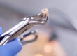 Extracted Tooth